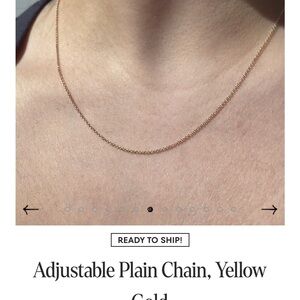 Catbird Plain Chain